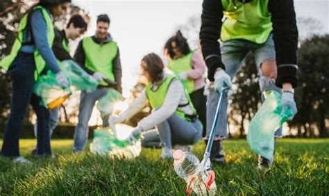 Tips For Keeping Your Community Park Clean And Safe The Dixon Pilot