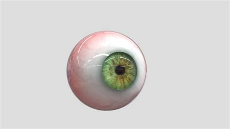 Eyeball 3d Models Sketchfab