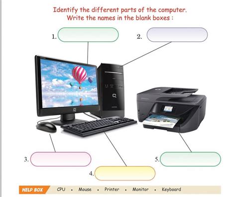 Parts Of Computer Interactive Worksheet