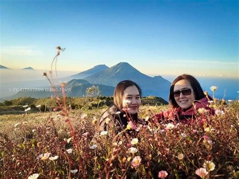 Dan harga tiket masuk seperti : Paket Pendakian Gunung Dieng, Prau Via Patak Banteng
