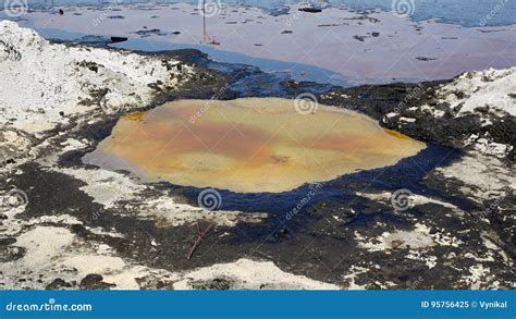 The Former Dump Toxic Waste In Ostrava Oil Lagoon Effects Nature From