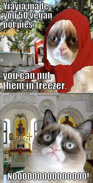 Grumpy Cat On Yia Yias Frozen Meals Grumpy Cat Humor