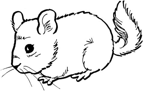 Maybe you would like to learn more about one of these? Free Printable Mouse Coloring Pages For Kids