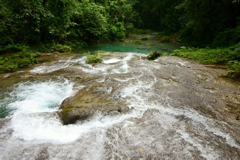 Reach Falls In Portland Jamaica Visit This Port Antonio Waterfall