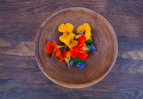 30 Edible Flowers You Can Eat Right Out Of Your Garden 2022