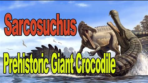 Sarcosuchus Giant Prehistoric Crocodiles Did They Eat Tyrannosaurs