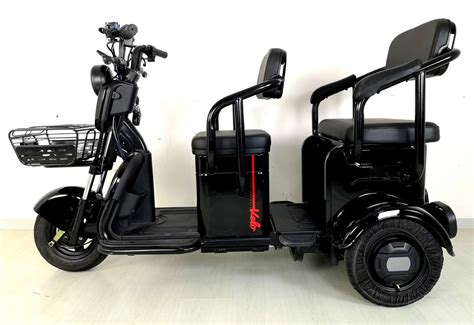 성인 500w 저속 세발자전거 전기 여객 세발자전거 기동성 세발자전거를 위한 기동성 전기 차량 인력거 Buy 고품질 전기