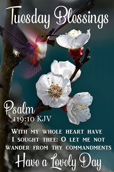 Tuesday Blessings Psalm Pictures Photos And Images For