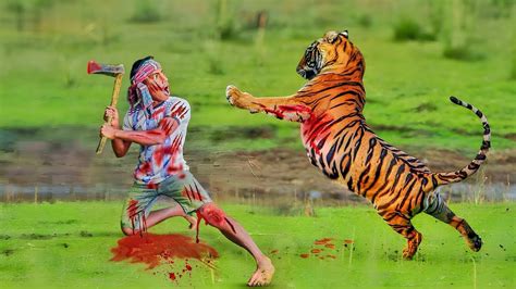 Tiger Attack Man In Forest Royal Bengal Tiger Attack Fun Made Movie