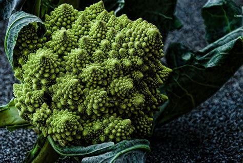 Romanesco Broccoli Care How To Grow Romanesco Broccoli Plants