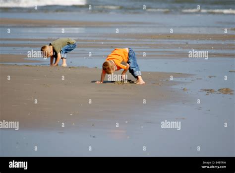 Two Caucasian Boys Kids Children Kid Child Digging Holes In Sand Beach