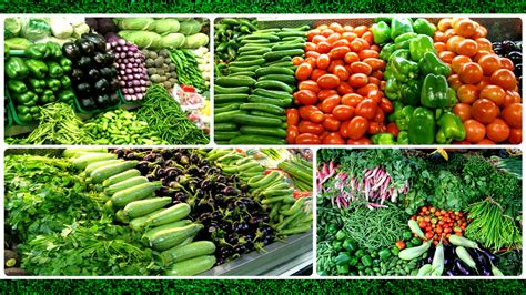 Get fresh food news delivered to your inbox. Indian Grocery Outlet - Grocery Store - 180 Talmadge Road ...