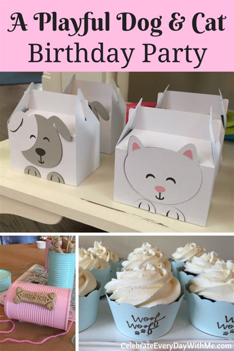 A Playful Dog And Cat Birthday Party Celebrate Every Day