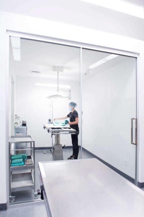Appelez gratuitement le service client clinique claude bernard avec son numéro de téléphone non surtaxé. INFOS COVID-19 | Clinique Vétérinaire Quartier DIX30 ...
