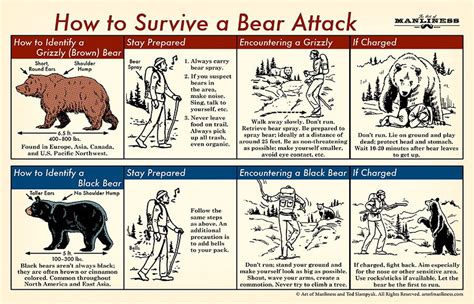 The Guide How To Survive A Bear Attack Oak Oar