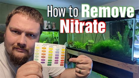 Aquarium Maintenance Tips How To Remove Nitrate Youtube