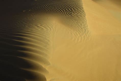 Ripple Marks 5 Sharqiya Sands Pictures Oman In Global Geography
