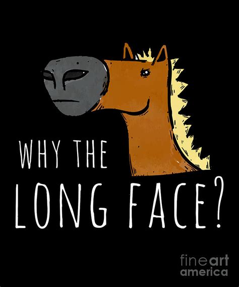 Why The Long Face Horse Lover Funny Joke Drawing By Noirty Designs