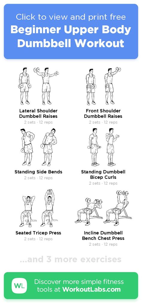 Find the perfect upper body anatomy stock photo. Beginner Upper Body Dumbbell Workout - click to view and ...
