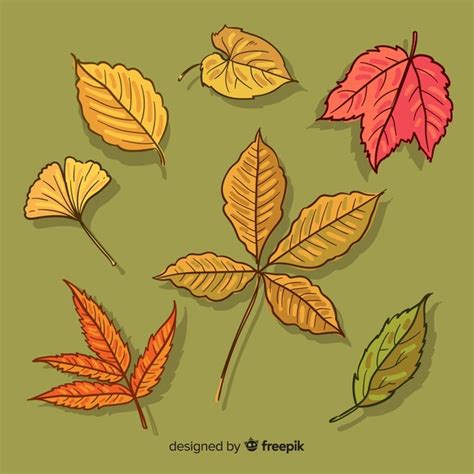 Free Vector Hand Drawn Autumn Forest Leaves Collection