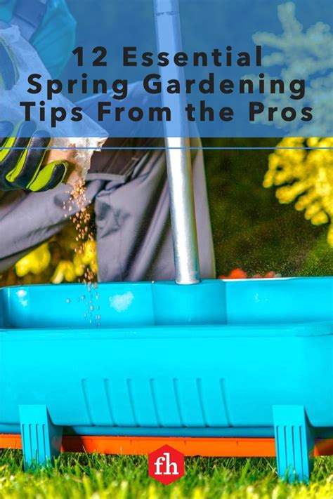 12 Essential Spring Gardening Tips From The Pros Gardening Tips