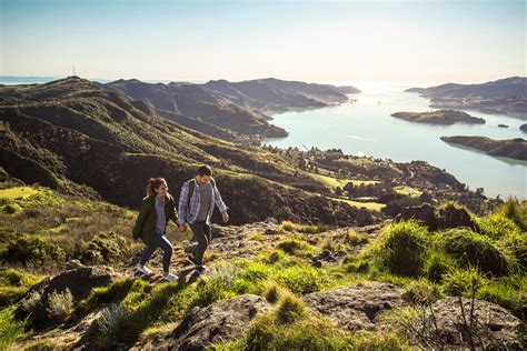 All banks operating in new zealand must be registered with the reserve bank of new zealand. It all starts in Christchurch - Tourism New Zealand