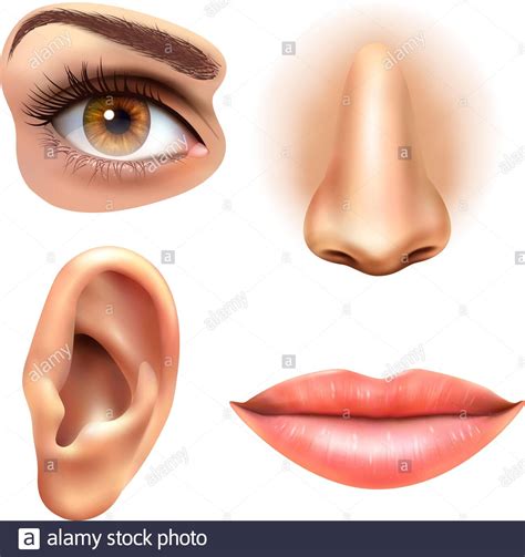 Human Face Parts 4 Sense Organs Icons Square Collection Of Eye Nose