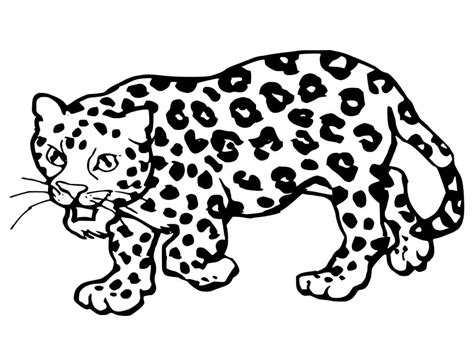 Dibujos De Jaguares Para Colorear Descargar E Imprimir Colorear Imágenes