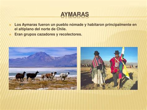 Ppt Pueblos Originarios De Chile Powerpoint Presentation Free