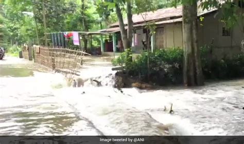 Flood Situation Worsens In Assam 20 Dead Over 95 Lakh Affected News Network Private Limited