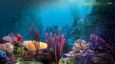 Aquarium Hd 1080p Wallpaper 84 Images