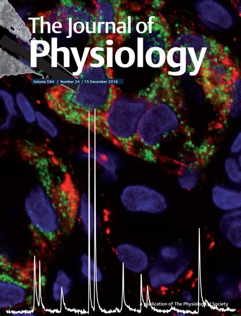 The Journal Of Physiology Vol 594 No 24