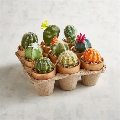 Comment Créer Un Joli Jardin Miniature Avec Des Cactus