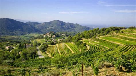 Most Beautiful Vineyards In France Duvine Wine Vacation Vineyard