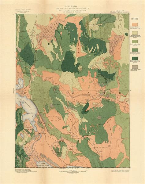 Forest Cover Map 1886 87 Oregon Klamath Quadrangle Geological Map