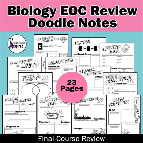 The giant algebra 1 eoc review packet answers BUNDLE: Biology EOC Doodle Notes Final Review | Biology ...