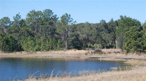 Exploring Fisher Lake 1 Best Hidden Gem In Central Florida