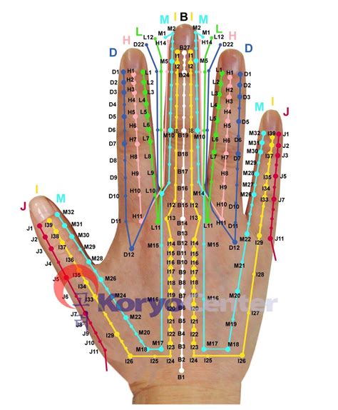 Acupuncture Points Hand Chart