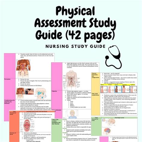 Nurse Practitioner Advanced Health Assessment Study Guide Etsy