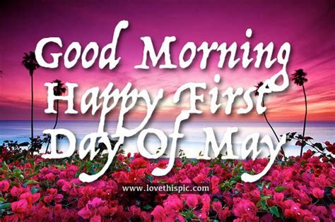 Good Morning Happy First Day Of May May Good Morning May Quotes Happy