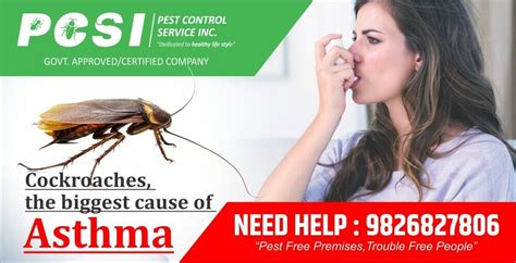 Soap and water are regarded as a successful home remedy for cockroaches as it works in the same way fabric softener does. Do It Yourself Home Remedies for Cockroach Control. Pest Control Service Inc.