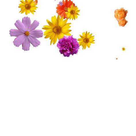 We have put together a large collection of wonderful animated pictures of flowers, buds, bouquets. Flowers GIFs - Get the best GIF on GIPHY