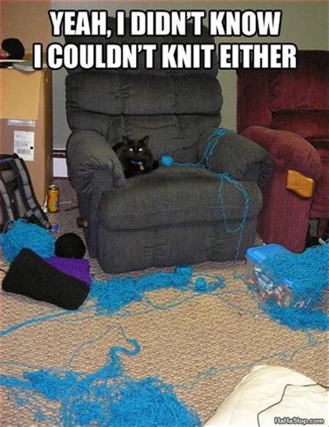 #1 cats playing with yarn. funny pictures cat playing with yarn - Dump A Day