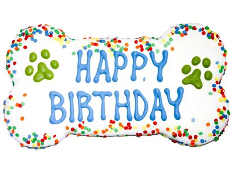 Giant Happy Birthday Dog Bone Size Puchi Petwear