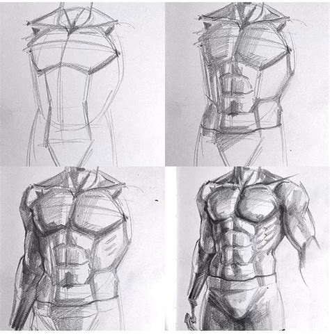 Learn To Draw A Male Torso Step By Step Reference Guide For Beginners