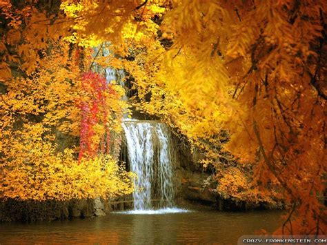 Beautiful And Amazing Photos Beautiful Autumn Amazing Beautiful