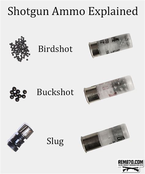 Shotgun Ammunition Explained What Is Slug