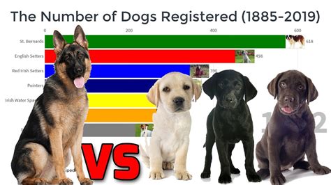Most Popular Dogs In The World Between 1885 2019 Youtube