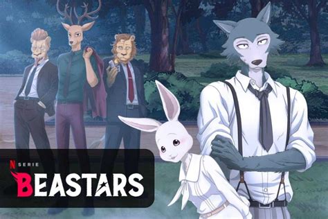 Beastars Stagione 2 La Serie Anime Con Nuovi Episodi Su Netflix