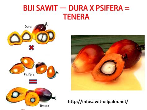 Dua2012 Sains Teknologi Dan Kejuruteraan Dalam Islam